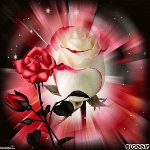 Meet your Posher, Pink rose